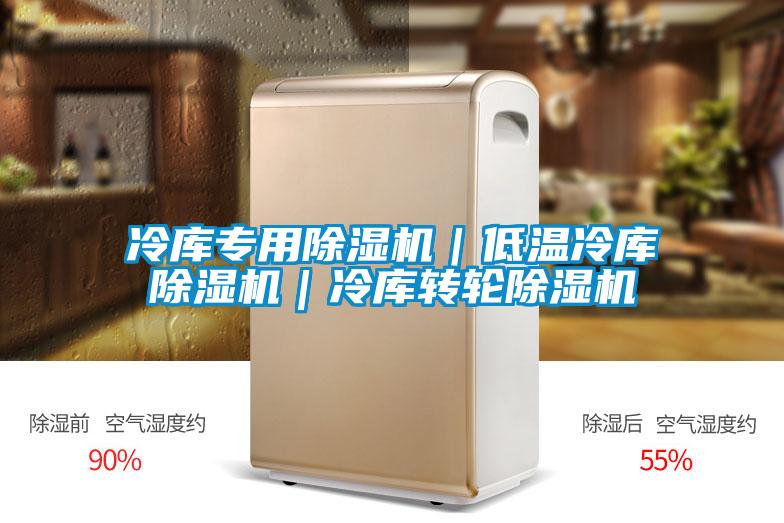 冷庫(kù)專(zhuān)用除濕機(jī)|低溫冷庫(kù)除濕機(jī)|冷庫(kù)轉(zhuǎn)輪除濕機(jī)