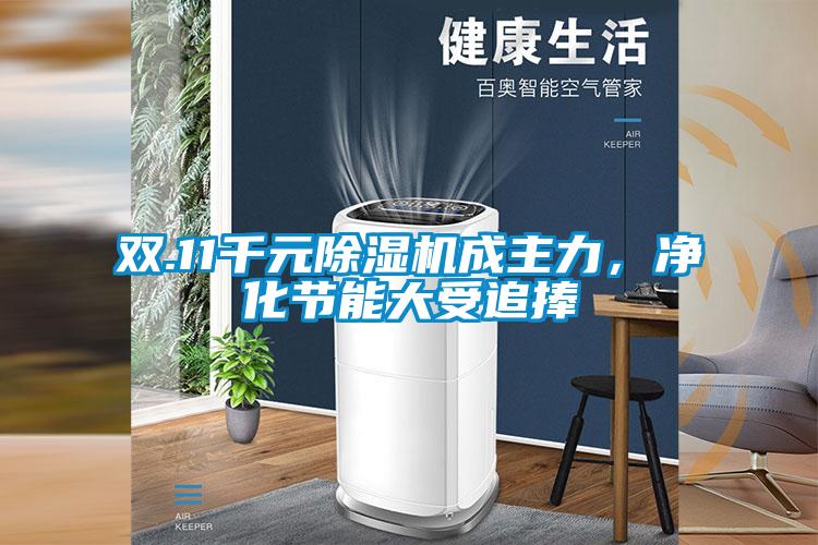 雙.11千元除濕機(jī)成主力，凈化節(jié)能大受追捧