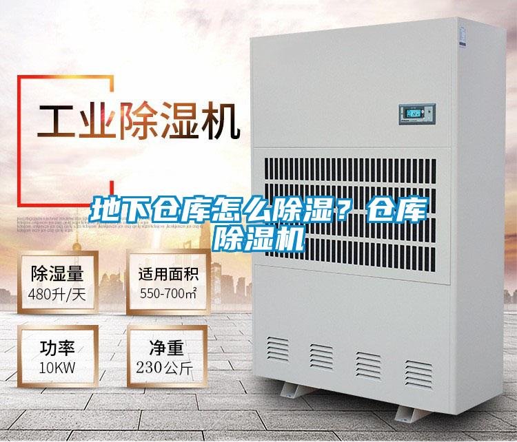 地下倉庫怎么除濕？倉庫除濕機(jī)