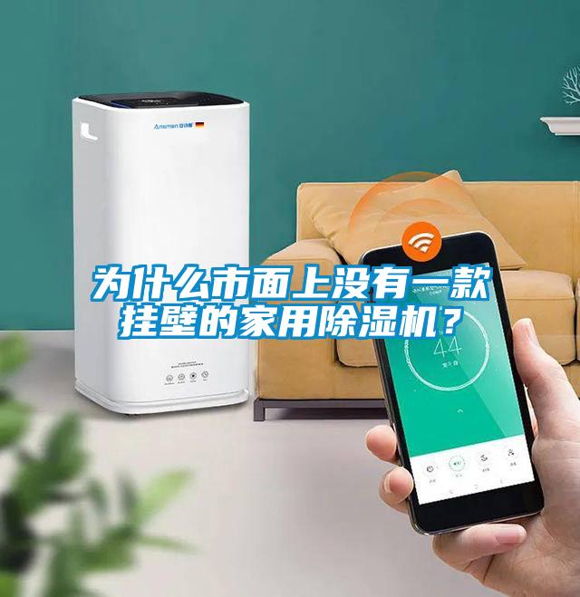 為什么市面上沒有一款掛壁的家用除濕機(jī)？
