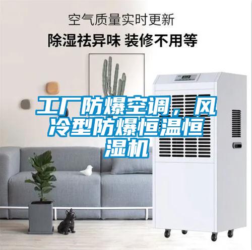 工廠防爆空調(diào)，風冷型防爆恒溫恒濕機