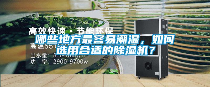哪些地方最容易潮濕，如何選用合適的除濕機？