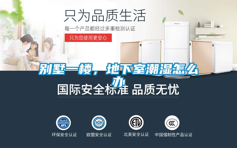 別墅一樓，地下室潮濕怎么辦