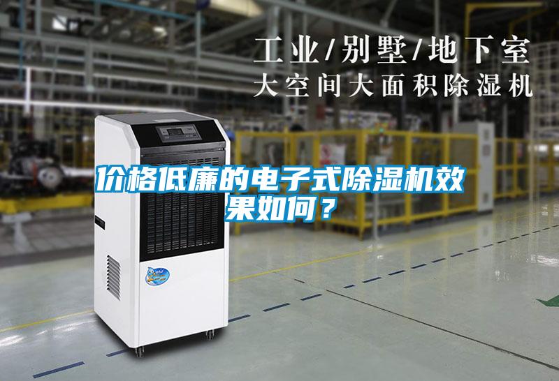 價格低廉的電子式除濕機效果如何？