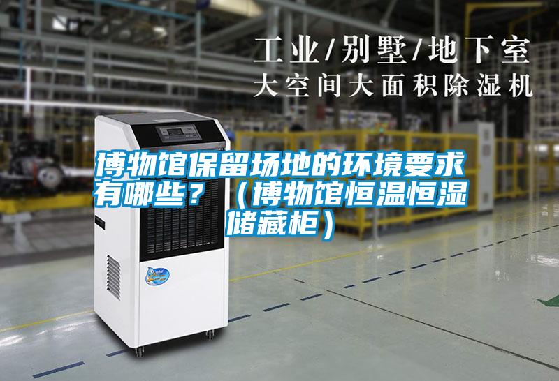 博物館保留場地的環(huán)境要求有哪些？（博物館恒溫恒濕儲藏柜）
