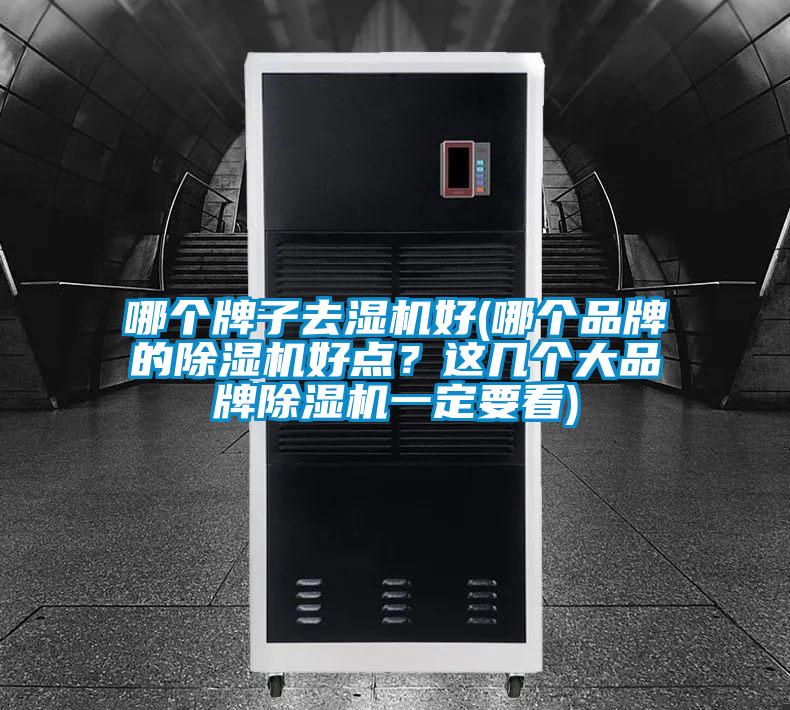 哪個(gè)牌子去濕機(jī)好(哪個(gè)品牌的除濕機(jī)好點(diǎn)？這幾個(gè)大品牌除濕機(jī)一定要看)