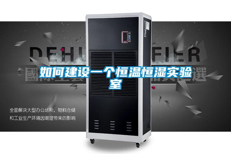 如何建設(shè)一個恒溫恒濕實(shí)驗(yàn)室