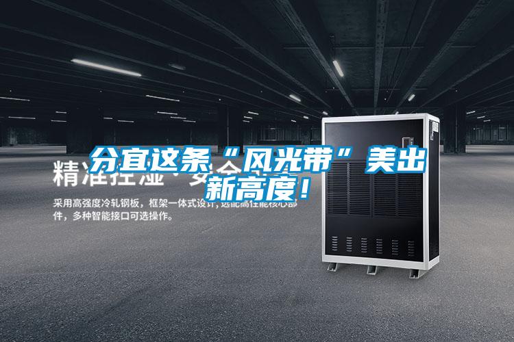 分宜這條“風光帶”美出新高度！