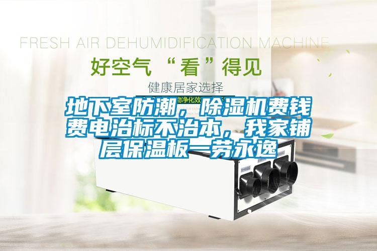 地下室防潮，除濕機費錢費電治標不治本，我家鋪層保溫板一勞永逸