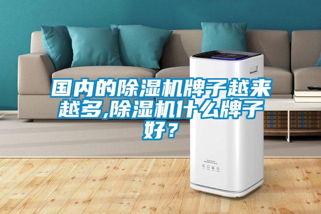 國(guó)內(nèi)的除濕機(jī)牌子越來(lái)越多,除濕機(jī)什么牌子好？