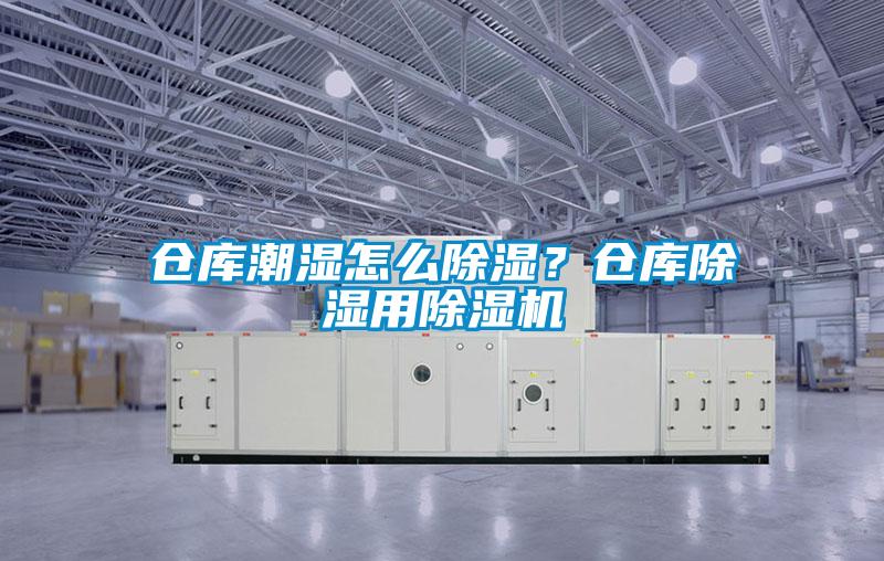 倉(cāng)庫(kù)潮濕怎么除濕？倉(cāng)庫(kù)除濕用除濕機(jī)