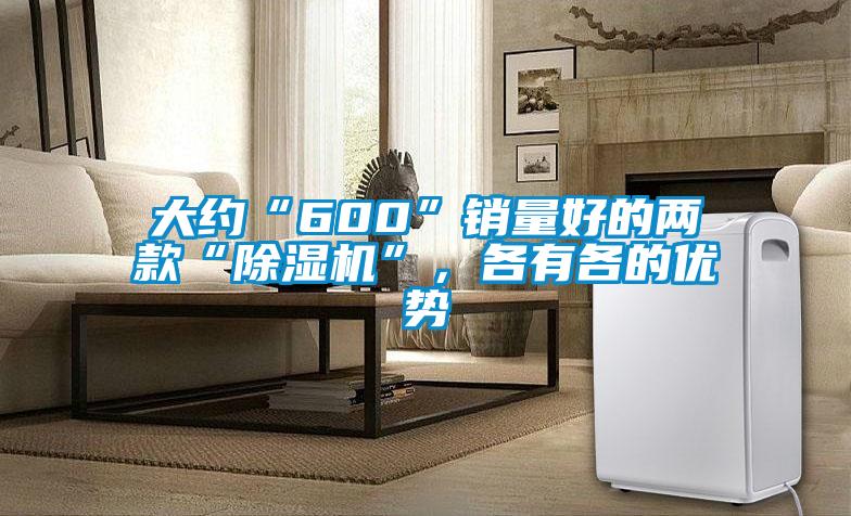 大約“600”銷量好的兩款“除濕機(jī)”，各有各的優(yōu)勢(shì)