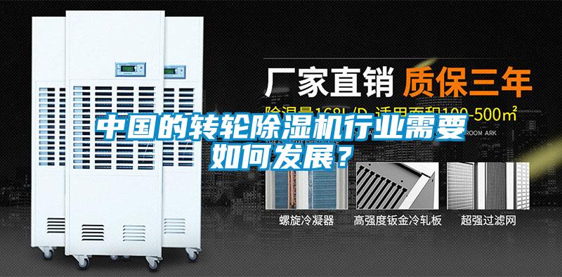 中國的轉(zhuǎn)輪除濕機行業(yè)需要如何發(fā)展？