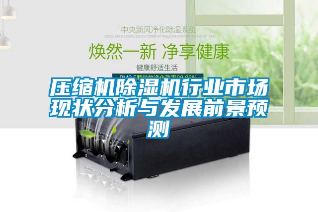 壓縮機除濕機行業(yè)市場現狀分析與發(fā)展前景預測