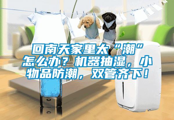 回南天家里太“潮”怎么辦？機器抽濕，小物品防潮，雙管齊下！