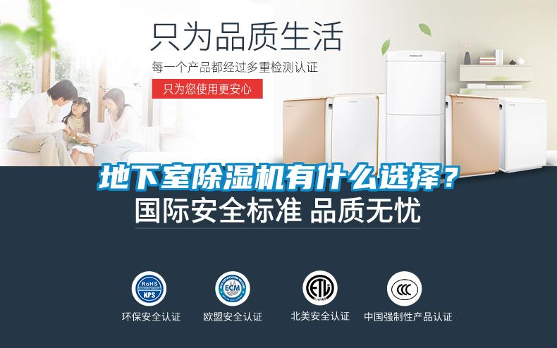 地下室除濕機(jī)有什么選擇？
