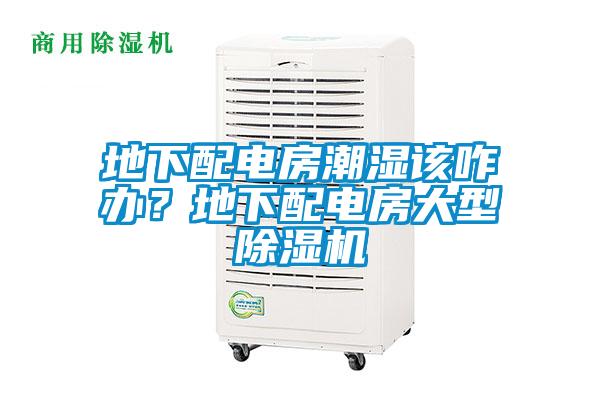 地下配電房潮濕該咋辦?地下配電房大型除濕機(jī)
