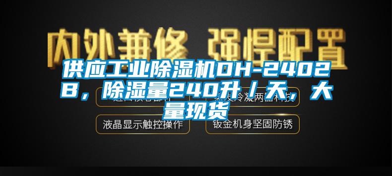 供應(yīng)工業(yè)除濕機(jī)DH-2402B，除濕量240升／天，大量現(xiàn)貨
