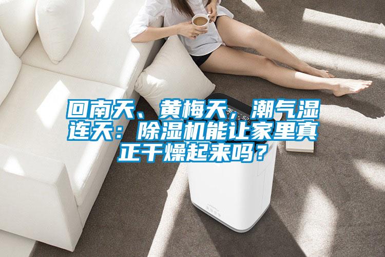 回南天、黃梅天，潮氣濕連天：除濕機(jī)能讓家里真正干燥起來(lái)嗎？