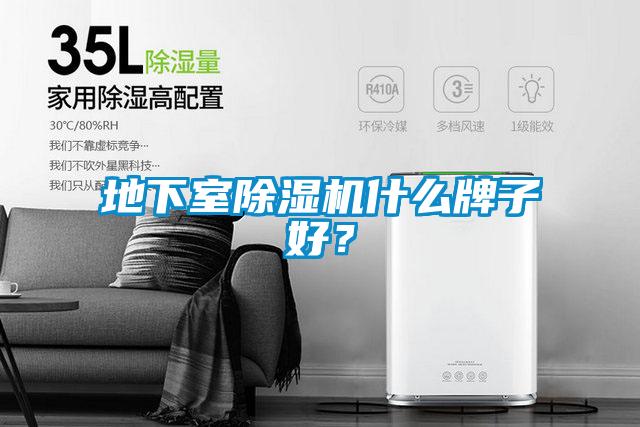 地下室除濕機(jī)什么牌子好？