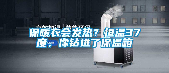 保暖衣會(huì)發(fā)熱？恒溫37度，像鉆進(jìn)了保溫箱