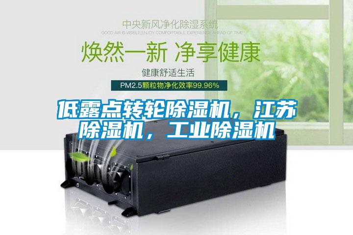 低露點(diǎn)轉(zhuǎn)輪除濕機(jī)，江蘇除濕機(jī)，工業(yè)除濕機(jī)