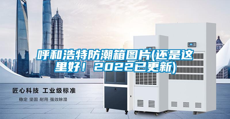 呼和浩特防潮箱圖片(還是這里好！2022已更新)