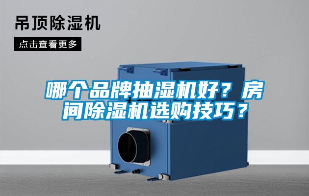 哪個品牌抽濕機好？房間除濕機選購技巧？