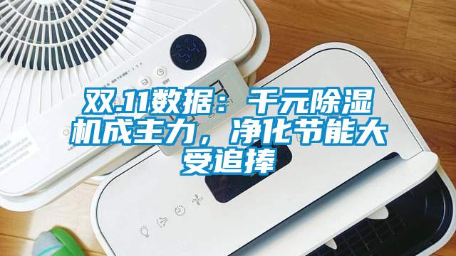 雙.11數(shù)據(jù)：千元除濕機成主力，凈化節(jié)能大受追捧