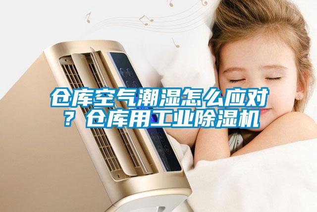 倉(cāng)庫(kù)空氣潮濕怎么應(yīng)對(duì)？倉(cāng)庫(kù)用工業(yè)除濕機(jī)