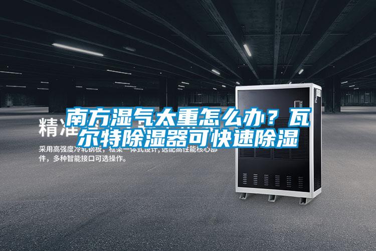 南方濕氣太重怎么辦？瓦爾特除濕器可快速除濕