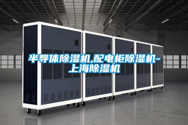 半導(dǎo)體除濕機(jī),配電柜除濕機(jī)-上海除濕機(jī)