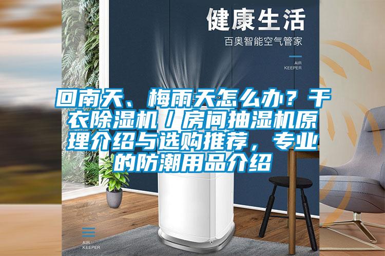 回南天、梅雨天怎么辦？干衣除濕機／房間抽濕機原理介紹與選購推薦，專業(yè)的防潮用品介紹