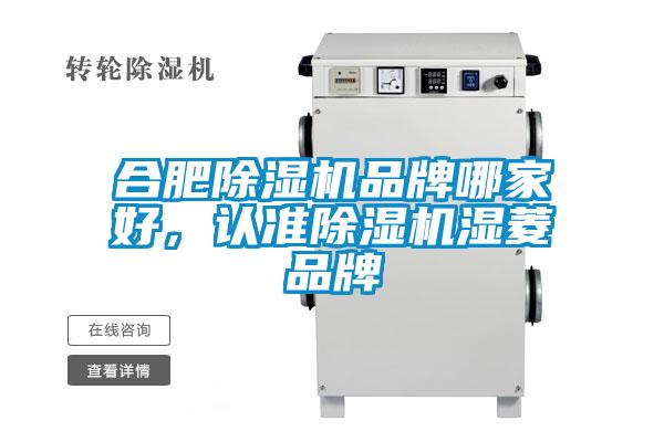 合肥除濕機(jī)品牌哪家好，認(rèn)準(zhǔn)除濕機(jī)濕菱品牌