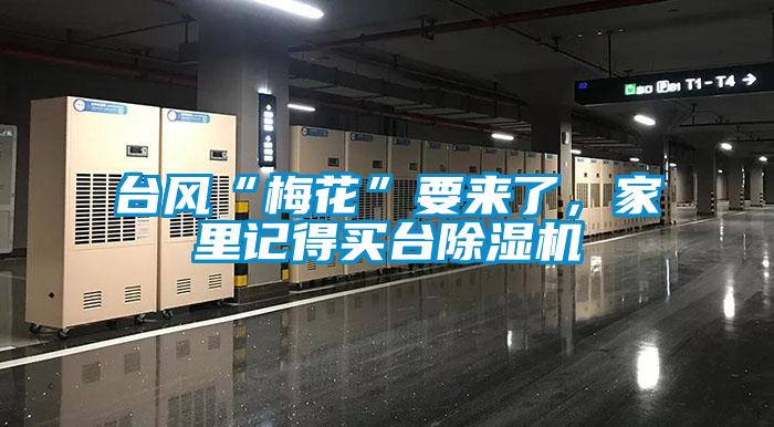 臺(tái)風(fēng)“梅花”要來(lái)了，家里記得買臺(tái)除濕機(jī)
