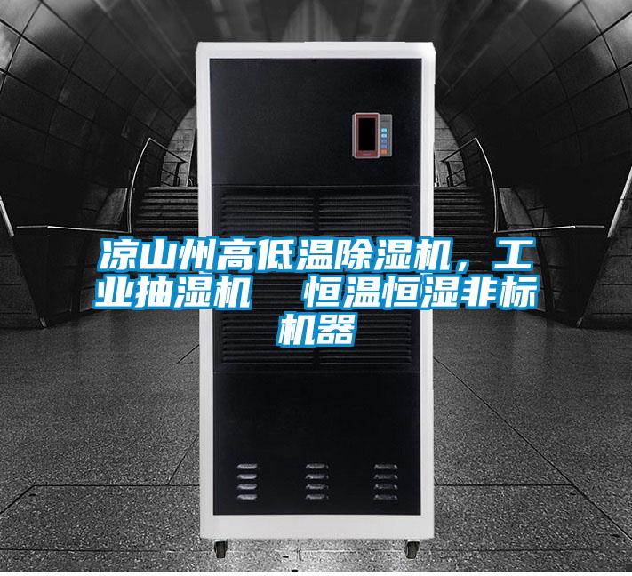 涼山州高低溫除濕機(jī)，工業(yè)抽濕機(jī)  恒溫恒濕非標(biāo)機(jī)器