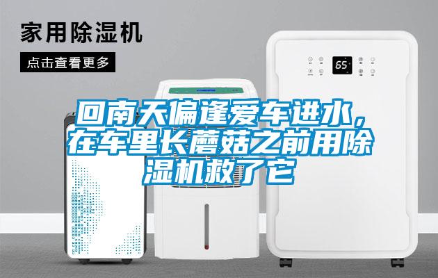 回南天偏逢愛車進(jìn)水，在車?yán)镩L蘑菇之前用除濕機(jī)救了它