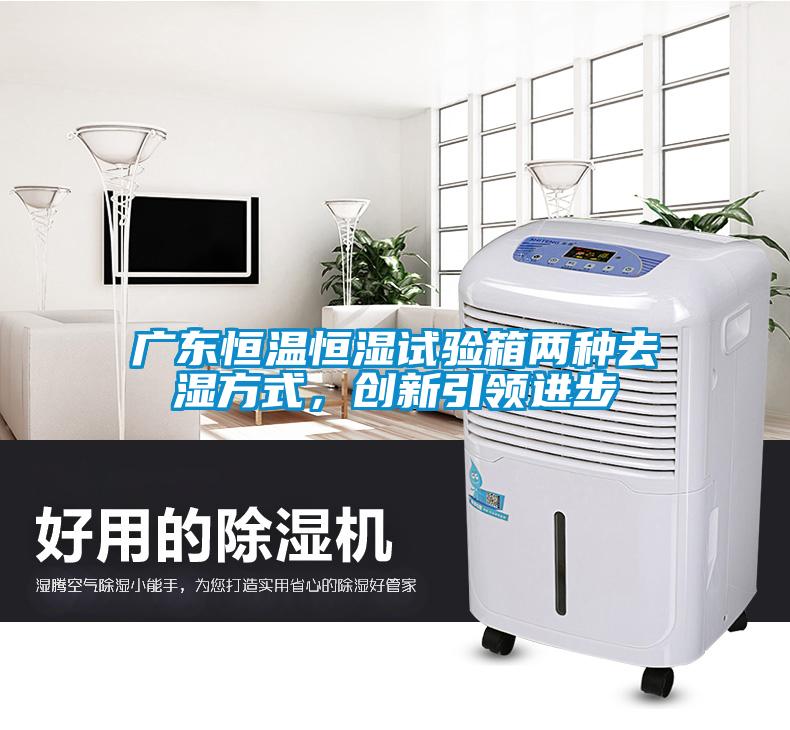 廣東恒溫恒濕試驗(yàn)箱兩種去濕方式，創(chuàng)新引領(lǐng)進(jìn)步