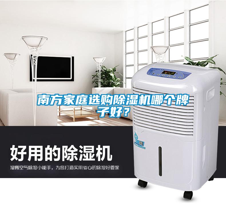 南方家庭選購除濕機哪個牌子好？