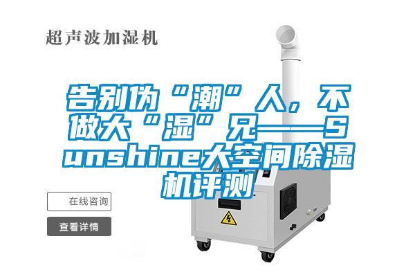 告別偽“潮”人，不做大“濕”兄——Sunshine大空間除濕機評測