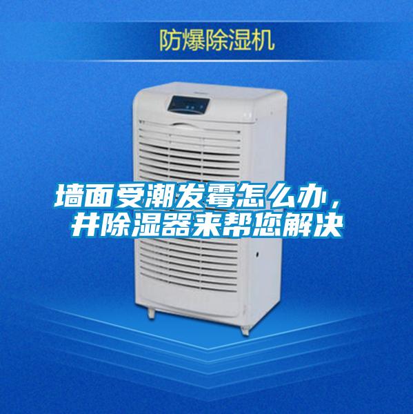墻面受潮發(fā)霉怎么辦，東井除濕器來幫您解決