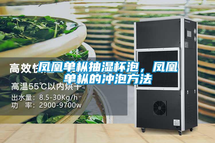 鳳凰單樅抽濕杯泡，鳳凰單樅的沖泡方法