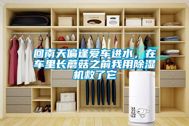 回南天偏逢愛車進(jìn)水，在車?yán)镩L(zhǎng)蘑菇之前我用除濕機(jī)救了它