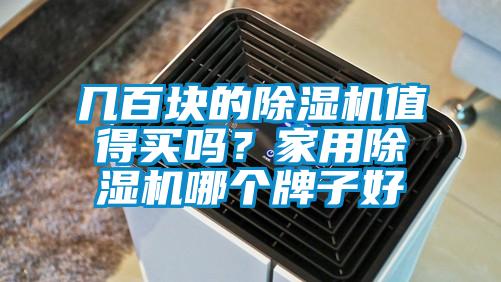 幾百塊的除濕機(jī)值得買嗎？家用除濕機(jī)哪個(gè)牌子好