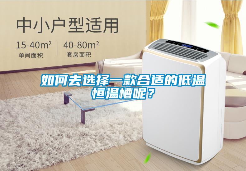 如何去選擇一款合適的低溫恒溫槽呢？