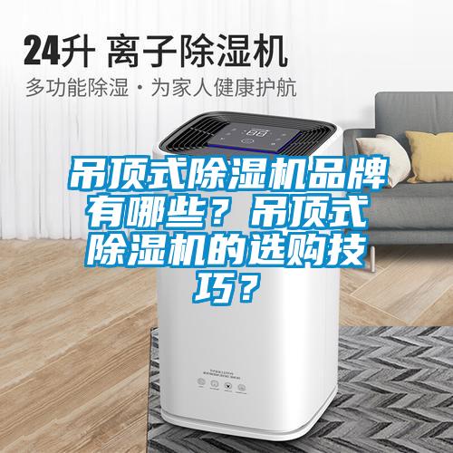 吊頂式除濕機(jī)品牌有哪些？吊頂式除濕機(jī)的選購技巧？