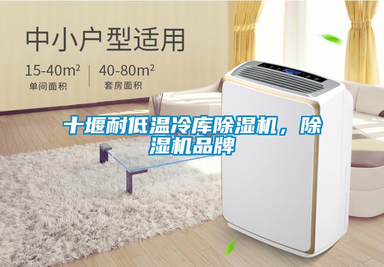 十堰耐低溫冷庫(kù)除濕機(jī)，除濕機(jī)品牌