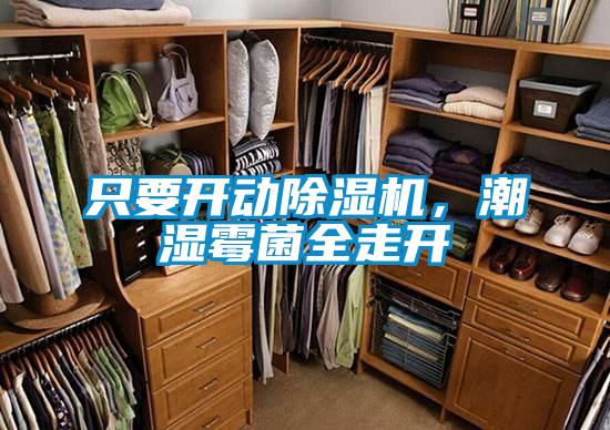 只要開動除濕機，潮濕霉菌全走開