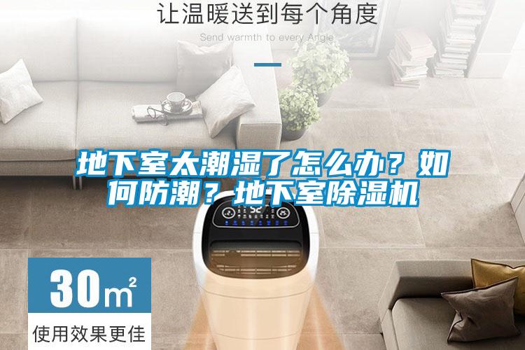 地下室太潮濕了怎么辦？如何防潮？地下室除濕機(jī)