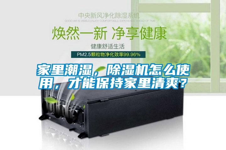 家里潮濕，除濕機怎么使用，才能保持家里清爽？